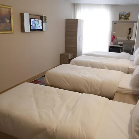 Grand Dedem 酒店 3*