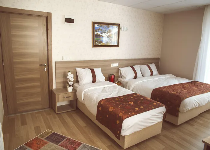 Hotel Grand Dedem 3*