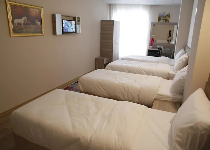 Grand Dedem Hotel 3*